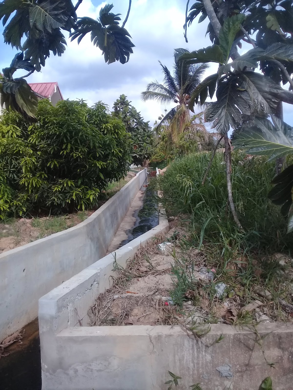 Box & Slipper Drainage T.A.M.G.B.I.