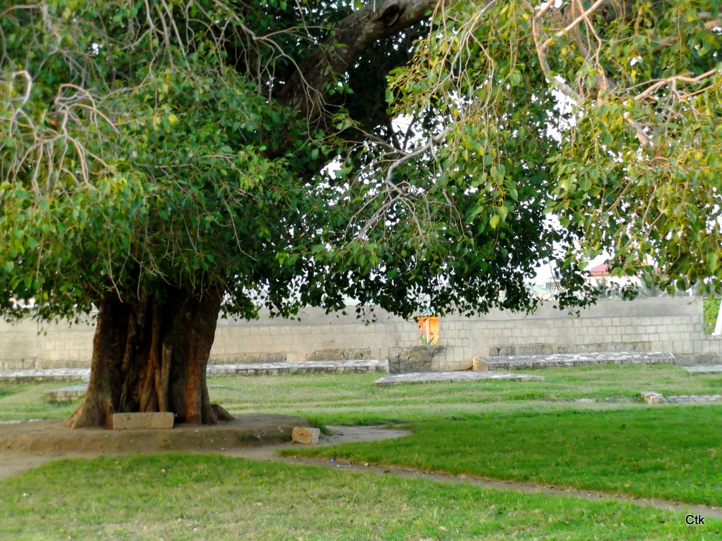 DSCF2956.JPG