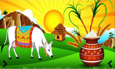 Makar Sankranti 2019 Wishes Images SMS Quotes in Hindi