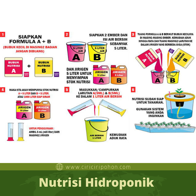 Ciri Ciri Pohon Nutrisi Hidroponik