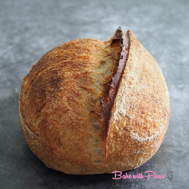 Basic Open Crumb Sourdough Bread