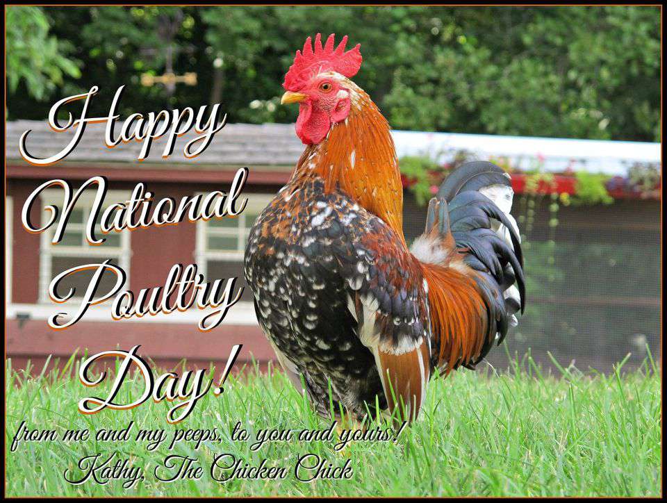 National Poultry Day Wishes National Poultry Day Wishes
