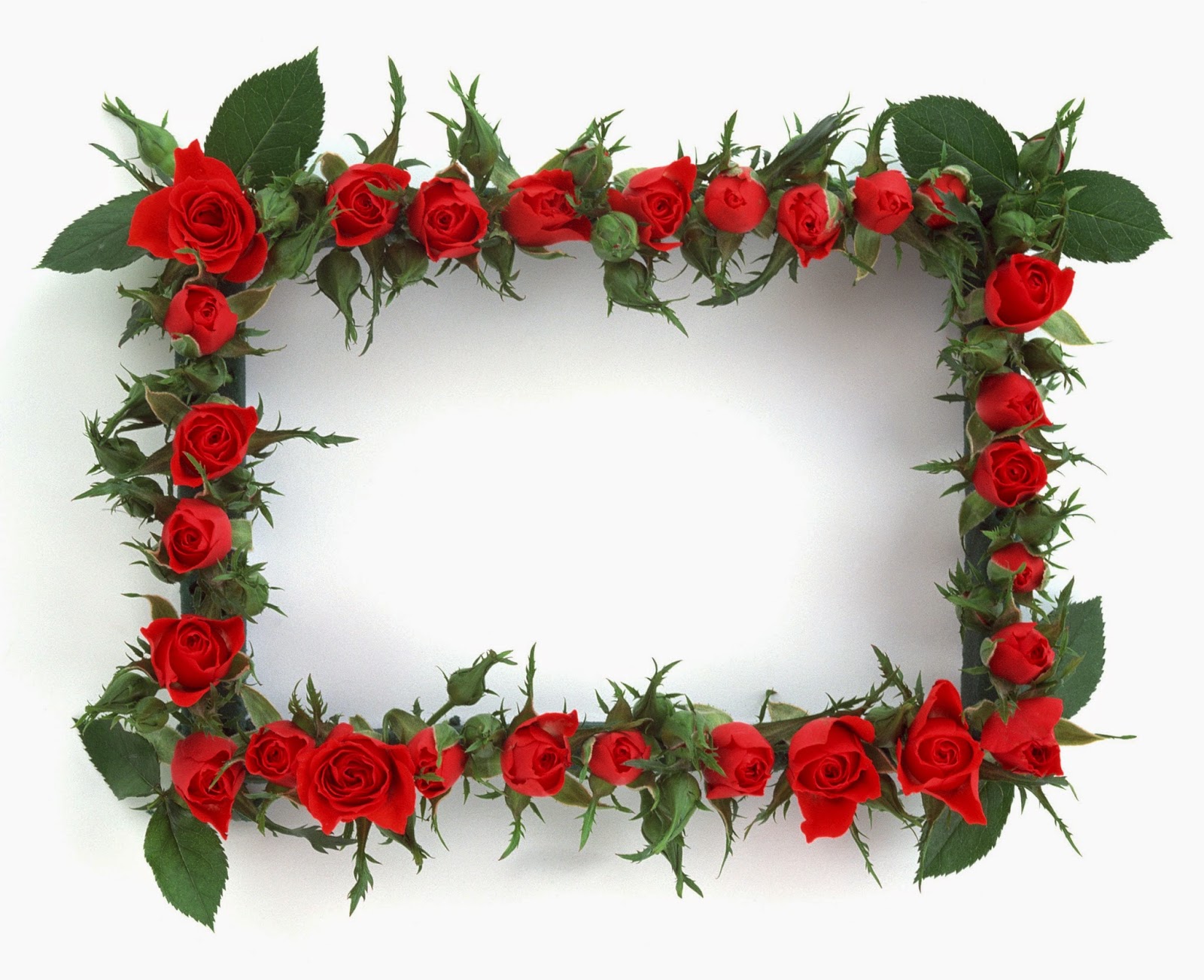 Flower frame for Photoshop — Delight — Картинки и Рисунки