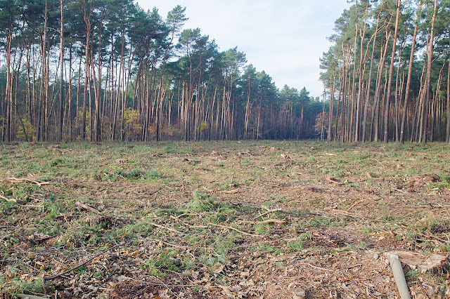 Przebudowa drogi wojewódzkiej 223 Białe Błota Bydgoszcz