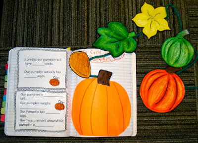pumpkin life cycle NGSS  3-LS1-1