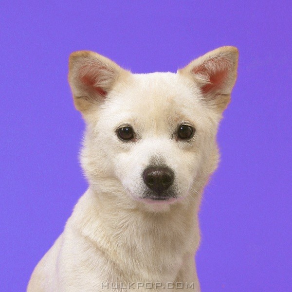 WEN – May (feat. Soo-Yeony) – Single