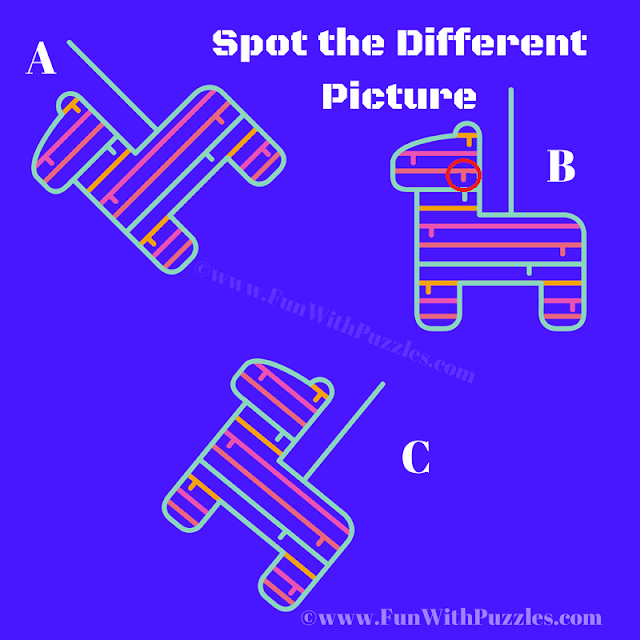 Spot the Unique Image: Odd One Out Picture Puzzle Answer