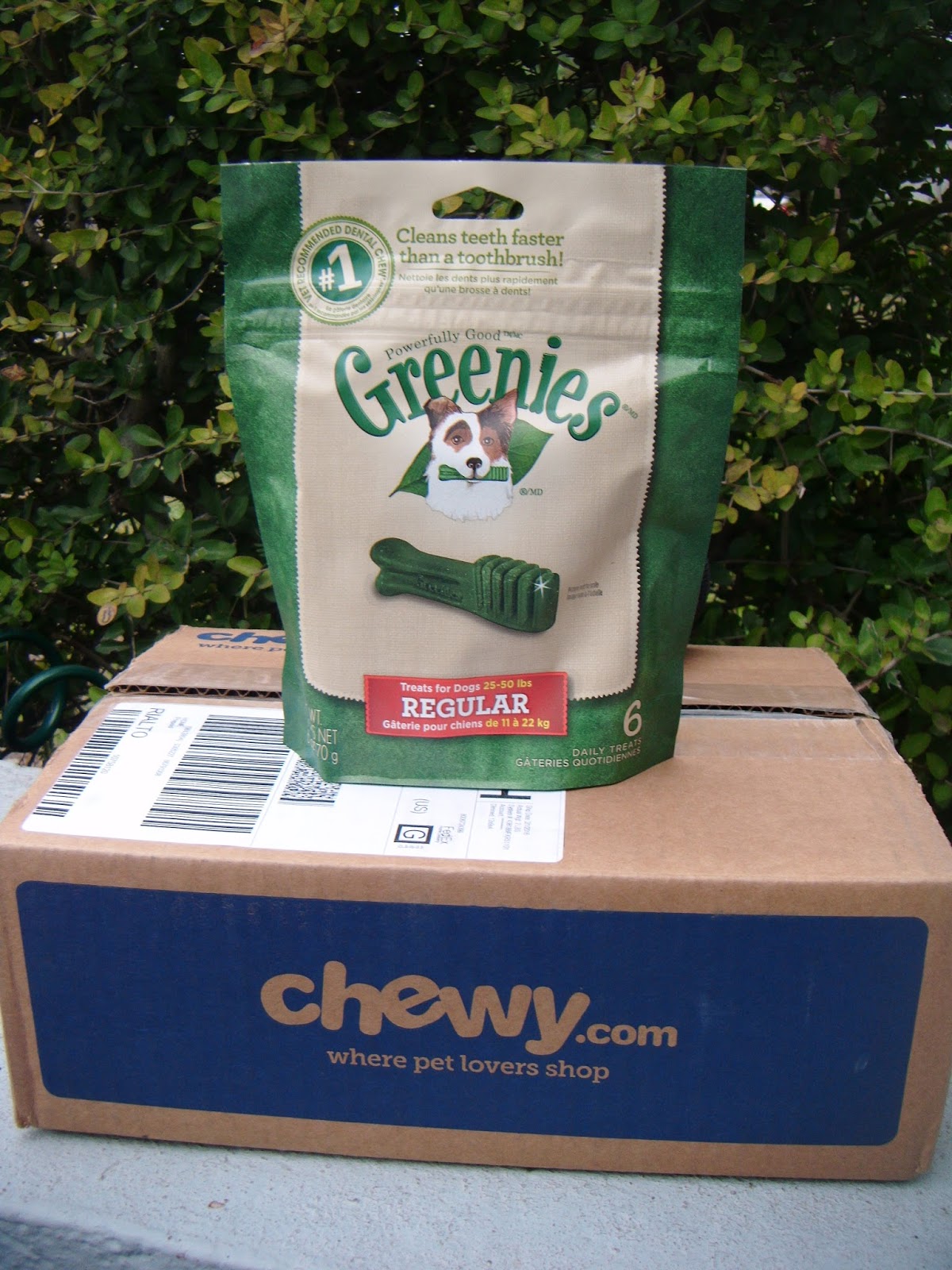 chewy greenies large