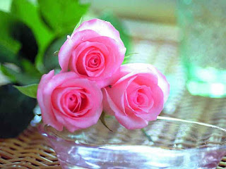 7hob.com13528061927