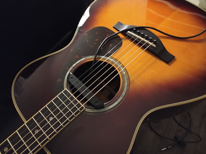 Double X1 Pro Soundhole Guitar Pickup