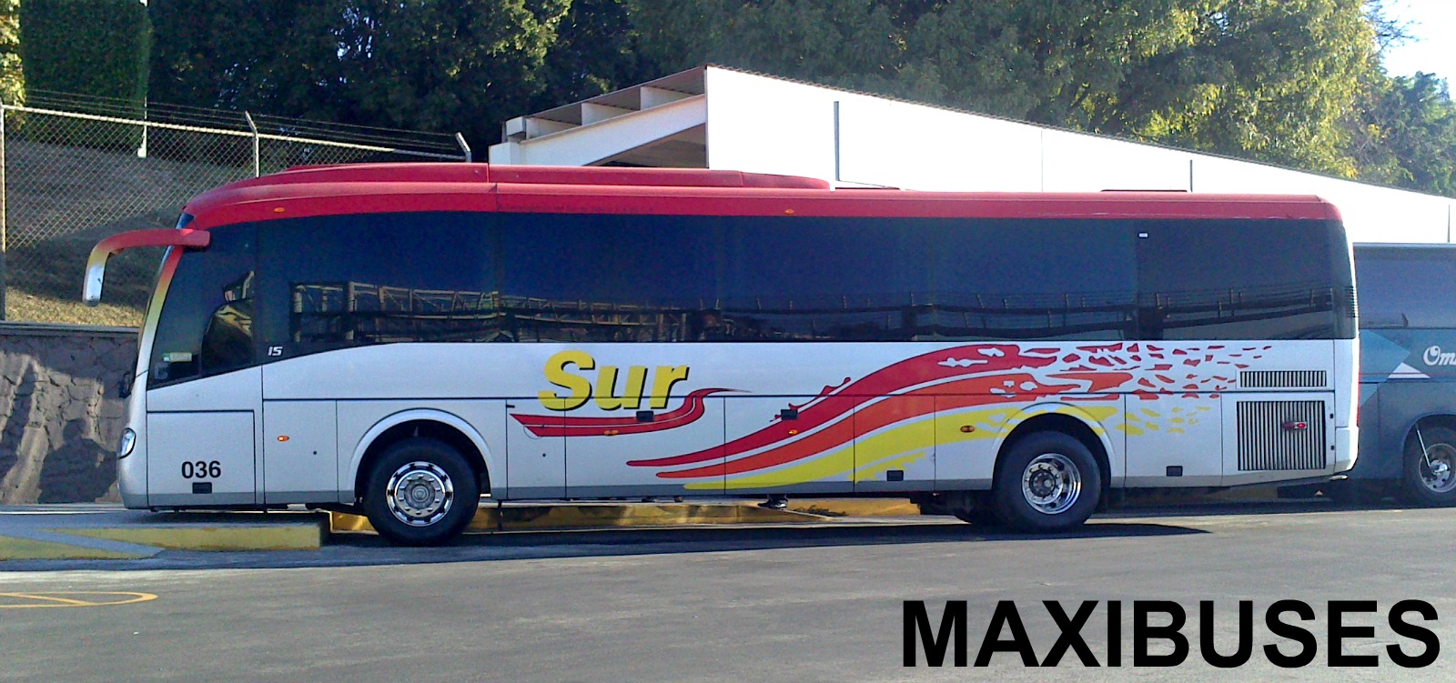 MAXIBUSES AUTOBUSES DEL SUR DE JALISCO