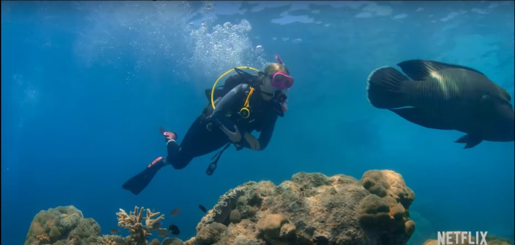 影評《熱血潛隊/深海尋寶少女Dive Club》：劇情緊湊，一部很棒的青少年影集  | Netflix澳洲影集