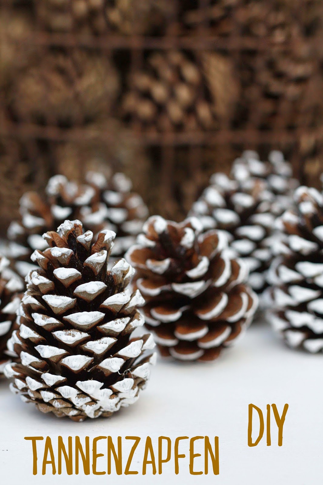 Herzstück: Schnelles Tannenzapfen DIY