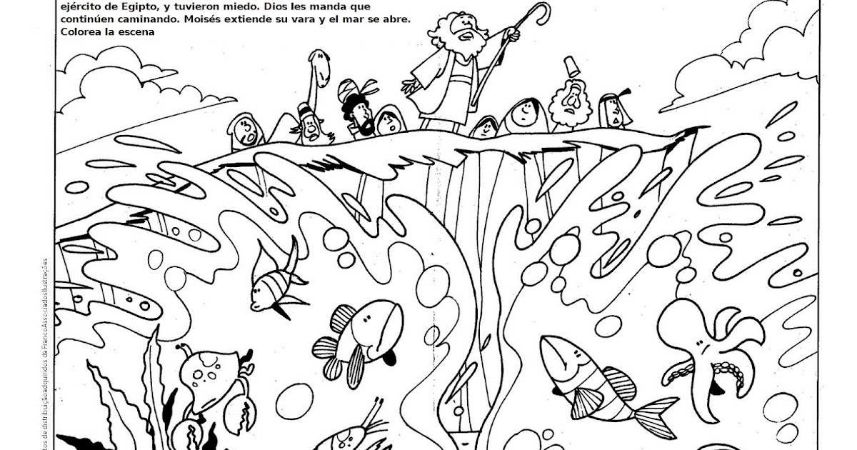 Buenas Noticias Para Los Ninos Colorear Moises Cruza El