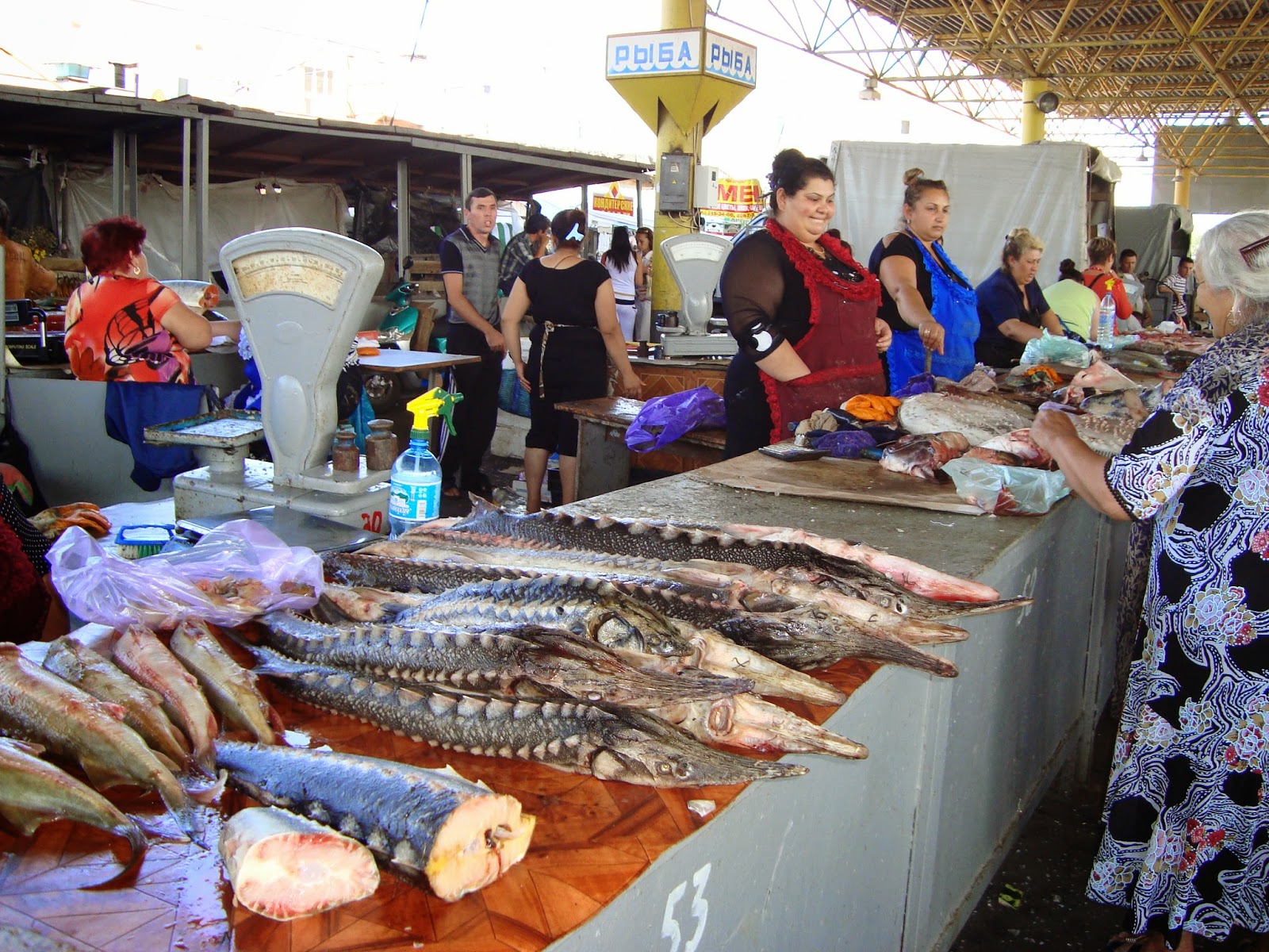 Привоз. Рыба на Привозе в Одессе. Рыбный рынок Одесса. Торговца рыбой на Привозе. Рыбный рынок в Алуште.