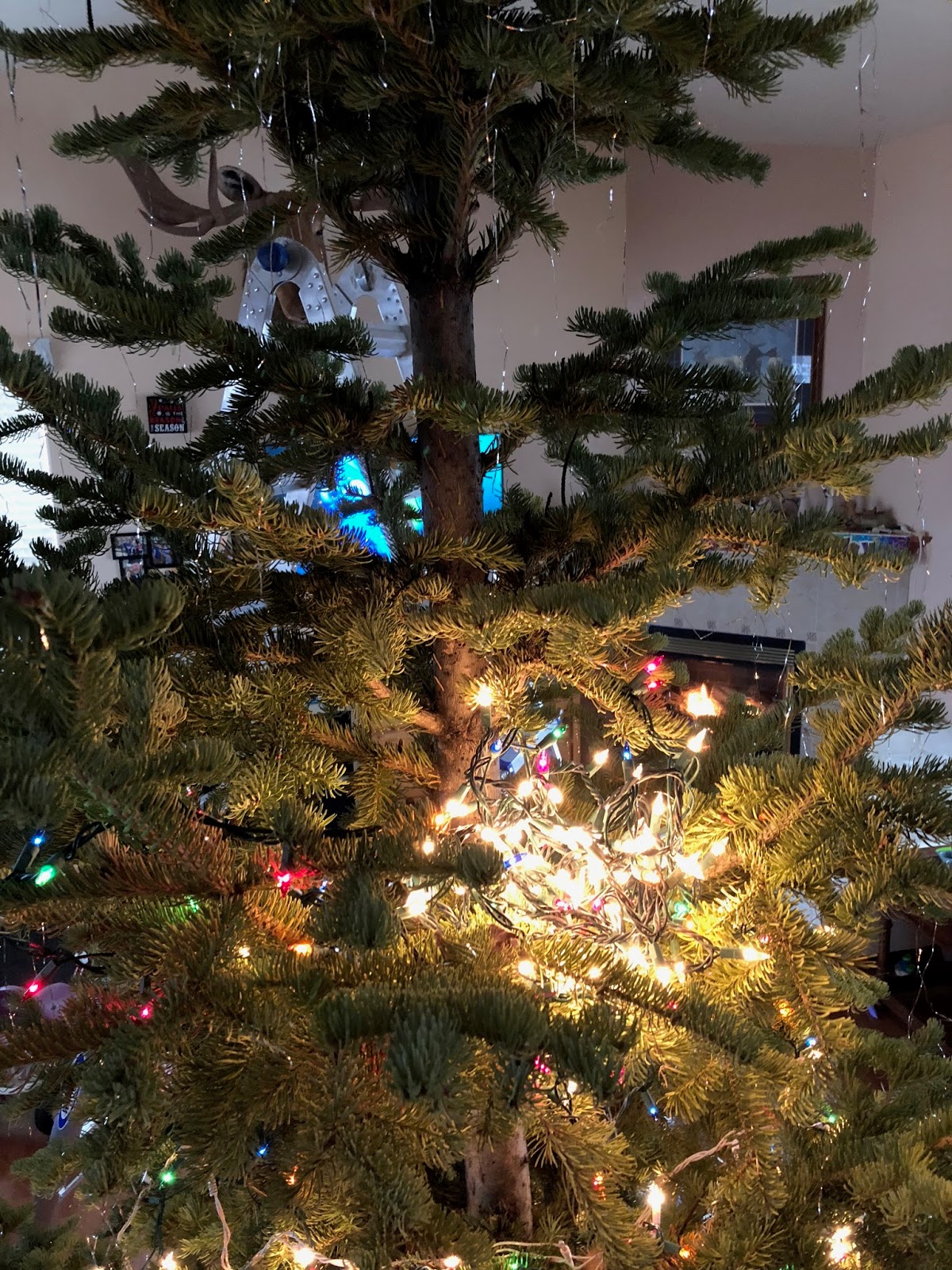 The Mountain Millers Coming Down