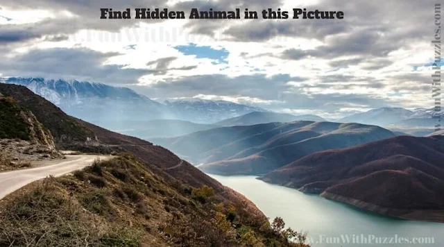 Picture Puzzle to find hidden dog