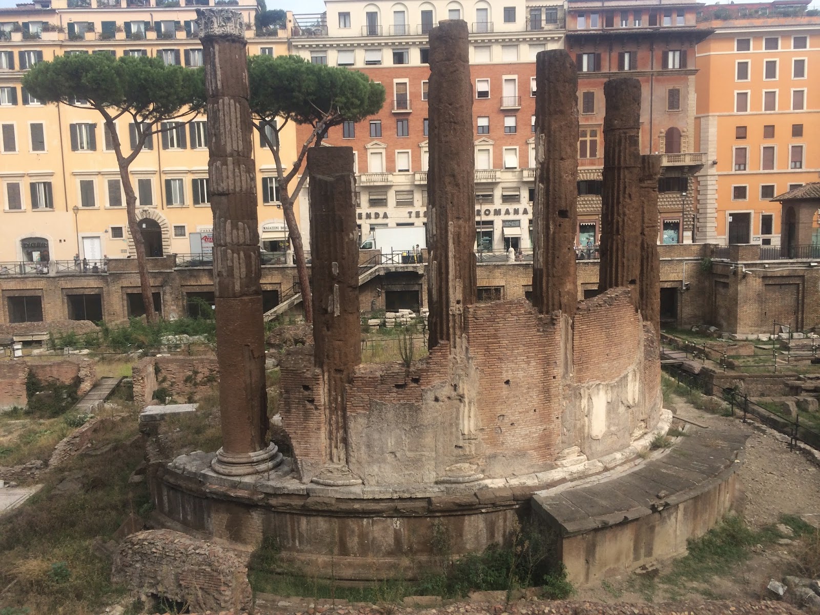 ksc-abroad-6-8-largo-di-torre-argentina