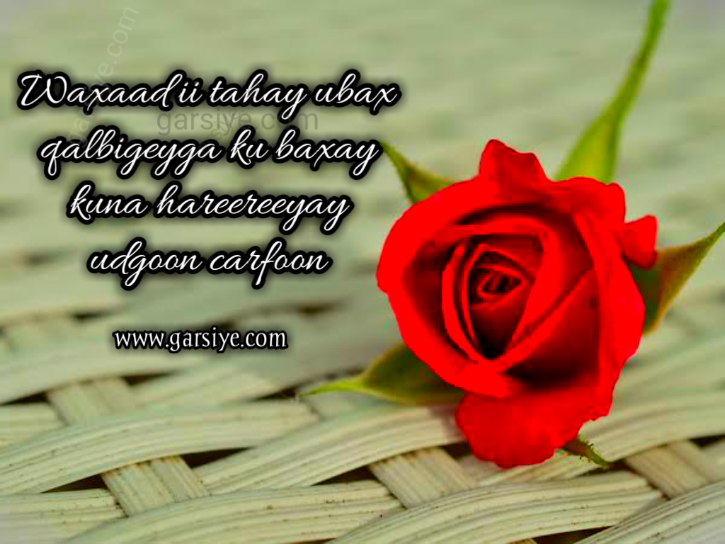 Sawiro Jaceyl Ah Oo Aad U Macaan Guled Gurey