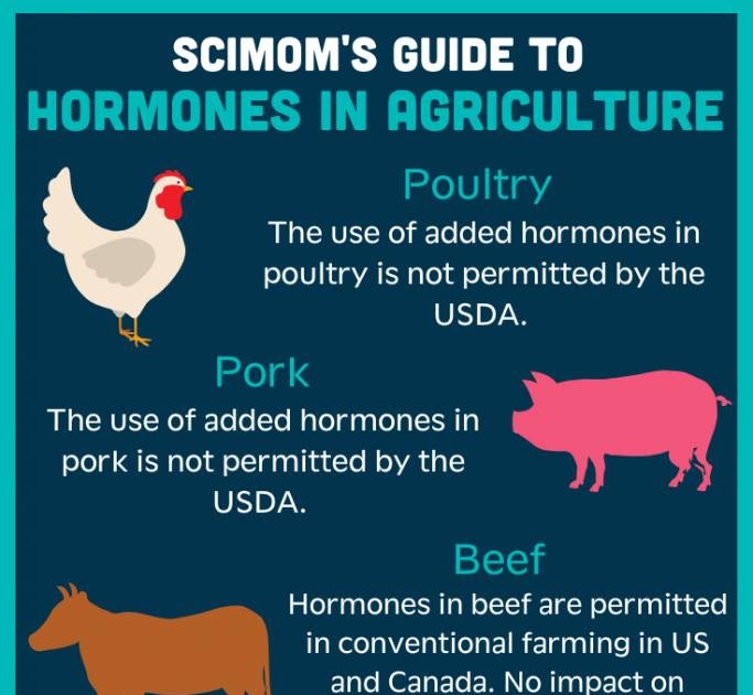Hormones in Meat and Dairy အသားတွေထဲပါနေတဲ့ ဟော်မုန်းဆေး