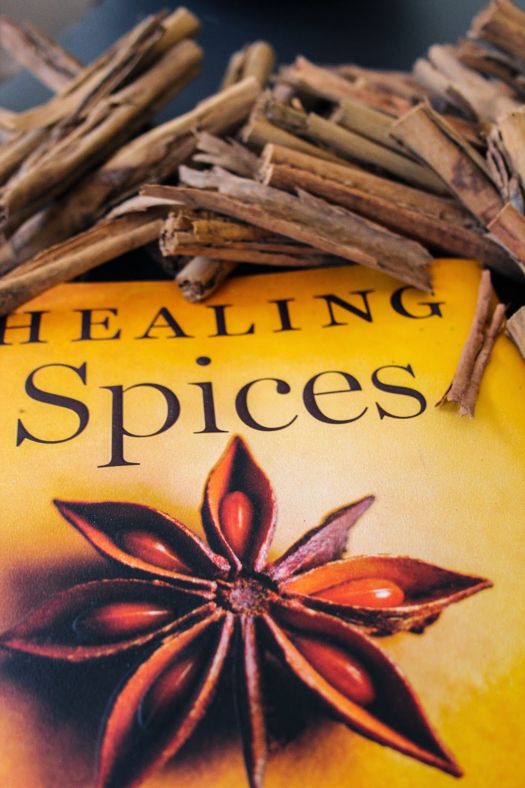 Chasing Santa Fe SAVORY SPICE SHOP SANTA FE