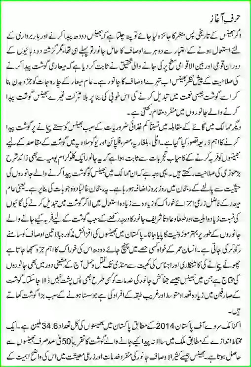 Buffalo Farming Production PDF