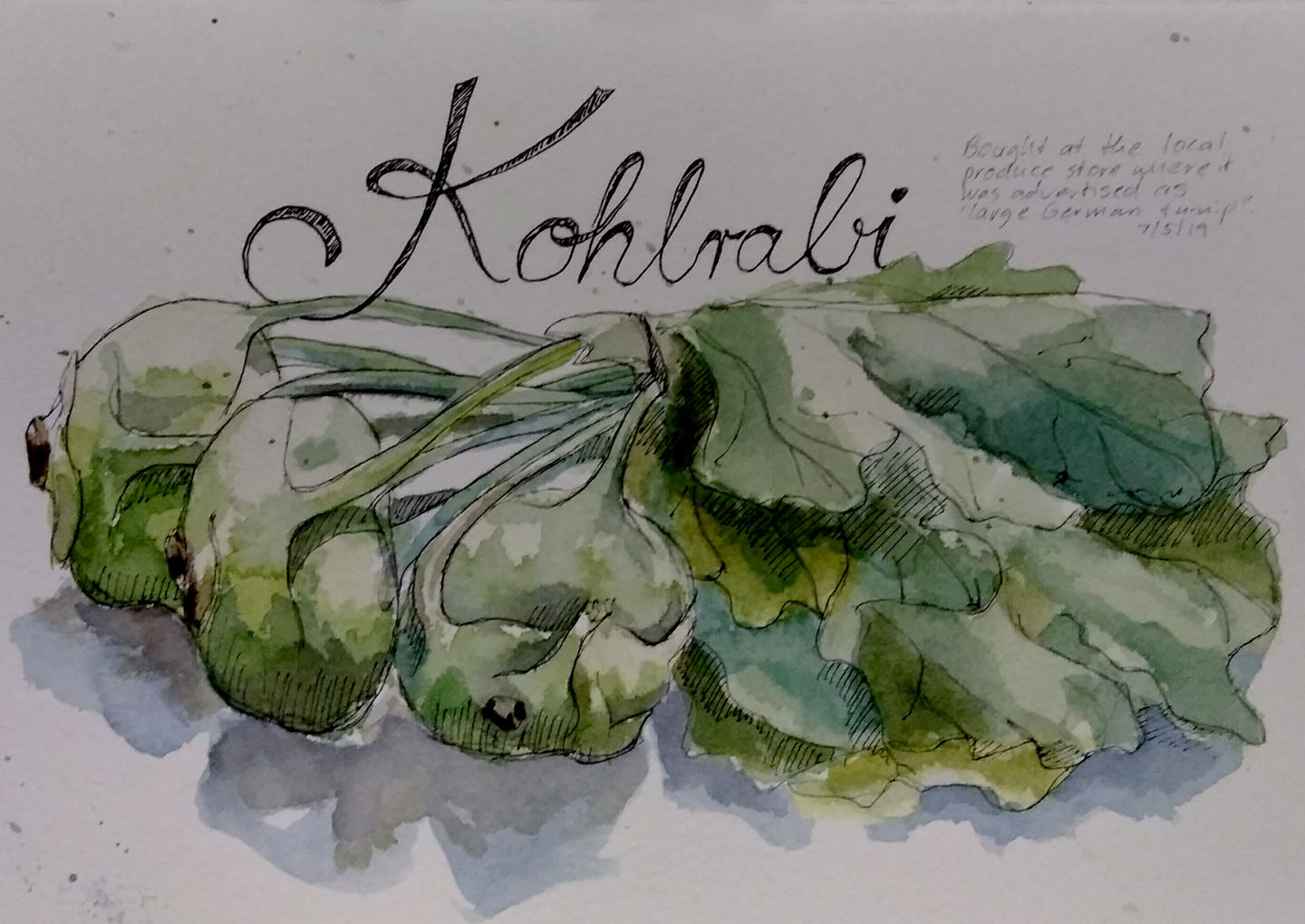 3d Look Durchbruch Wandtattoo Tiger Mit Hellbraunen Augen Kunst