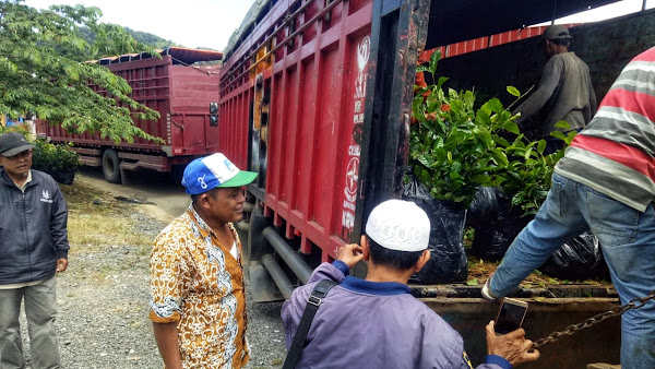 Ekspedisi Truk Carter Ekspedisi Truk Carter