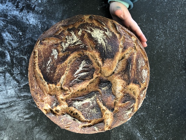 The Ultimate Dutch Oven Sourdough Bread - Twelve On Main