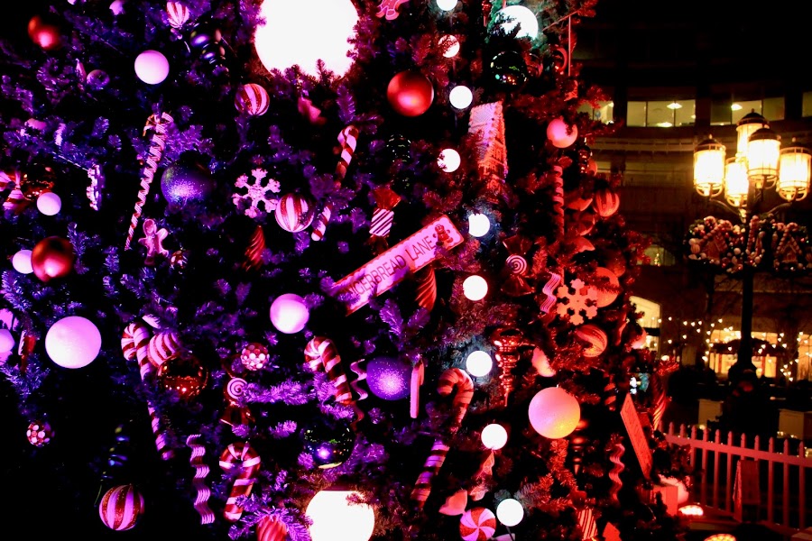 Life in the suburb! Lucia memories and the Christmas tree in Reston