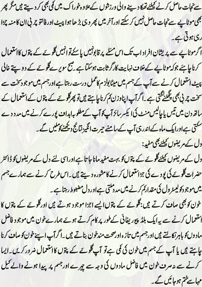 Essay ilm wadi dolat ahe 07 picture