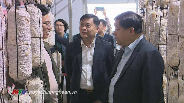 Ngày 6/3: Bộ trưởng Bộ KH&ĐT Nguyễn Chí Dũng thăm Nghệ An đang cách ly Covid-19 14 ngày