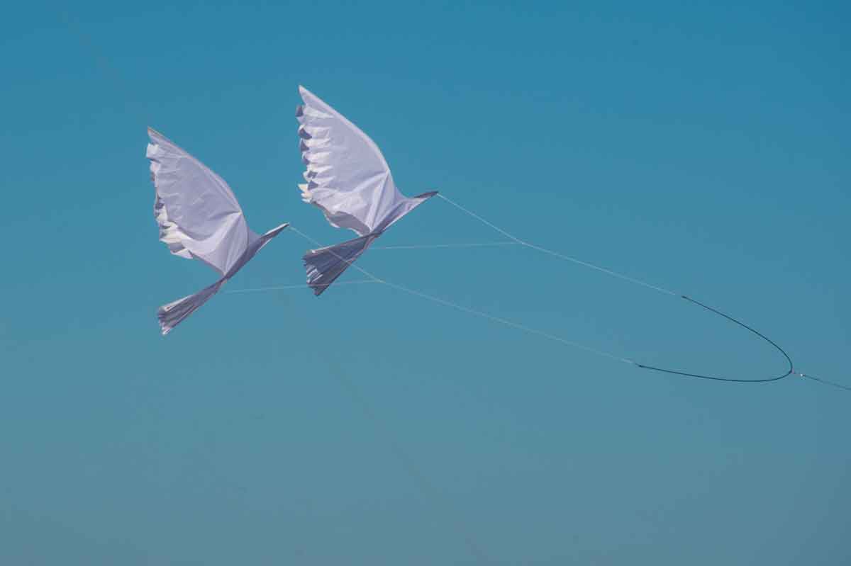 Kissack Adventures Last Kite Images Memorial Fly