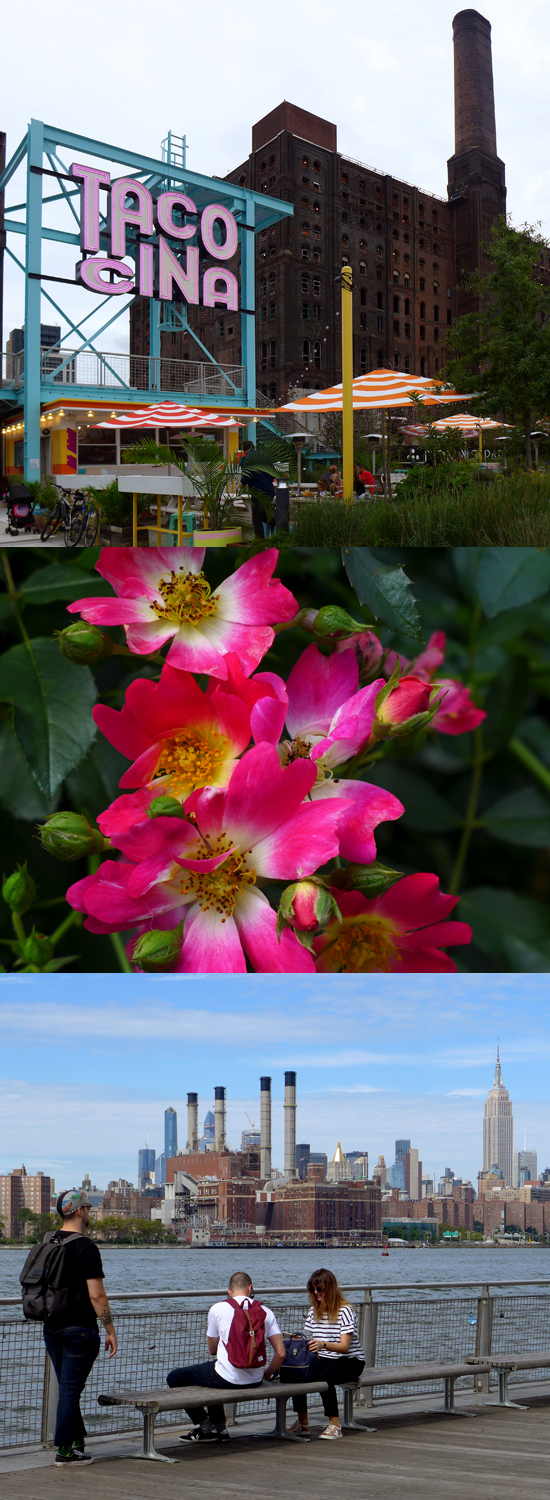 Maaademoiselle A Activite Dessiner Les Fleurs D Apres Un