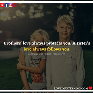Brother Sister Quotes Funny ✈Best (②⑤⓪+) Best Funny Brother Quotes From A Sister | Best Quotes About  Brothers To Say | Best Brother Quotes And Sibling Sayings | Funny Quotes On  Brother And Sister