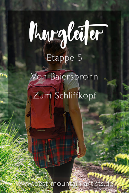 Premiumwanderweg Murgleiter | Etappe 5 von Baiersbronn zum Schliffkopf | Wandern nördlicher Schwarzwald 25