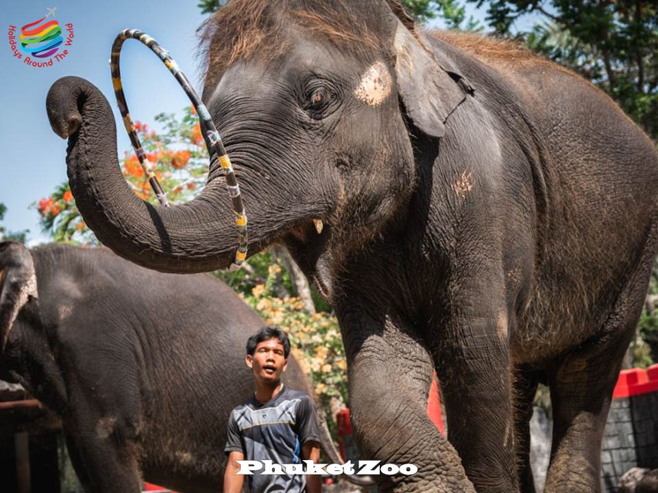 What to do in Phuket, Thailand