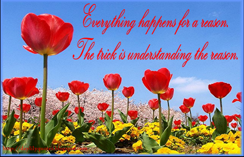 Kindness caused me to fall in love with the 'daylily' » a healthy life Daylily Quotes: Reason…