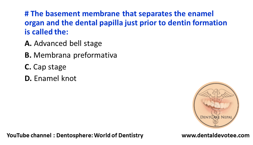 Dentosphere World of Dentistry Basement membrane that separates the