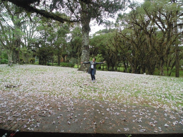 Parque do Caracol