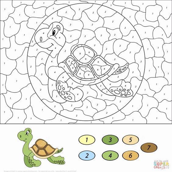 Hình cho bé tô màu theo số chủ đề con rùa đang bơi