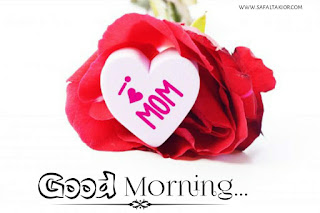 red rose good morning images download