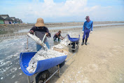 Harga Garam Hanya Rp 150 per Kilo, Pemerintah Diminta Perketat Impor 