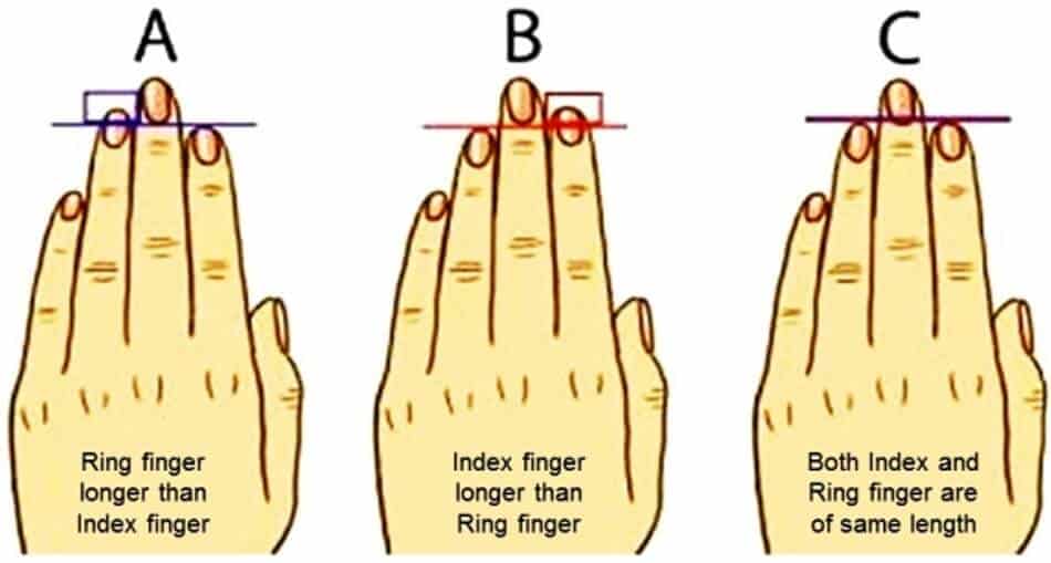 it-s-proven-the-size-of-your-fingers-reveals-your-behavior-and-your-personality