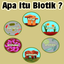 Pengertian Biotik dan Komponen Biotik beserta Fungsinya