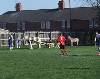 Spectators with a horse at a Sunday League football game in Harbottle Park