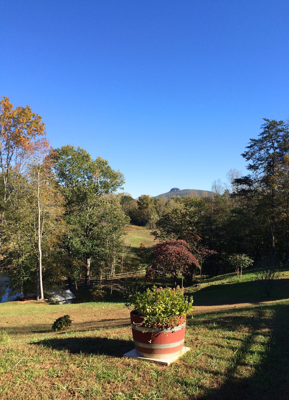 Jolo Winery & Vineyards Review Pilot Mountain, NC Blue Skies for Me Please
