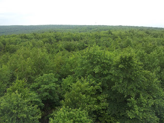 Skookum Traveler: Mount Davis (PA)