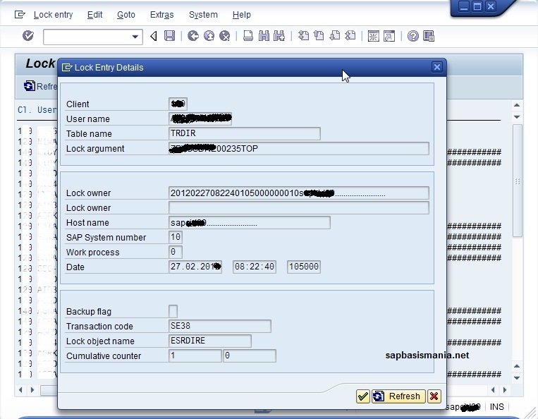 SAP Basis To monitor SAP Locks