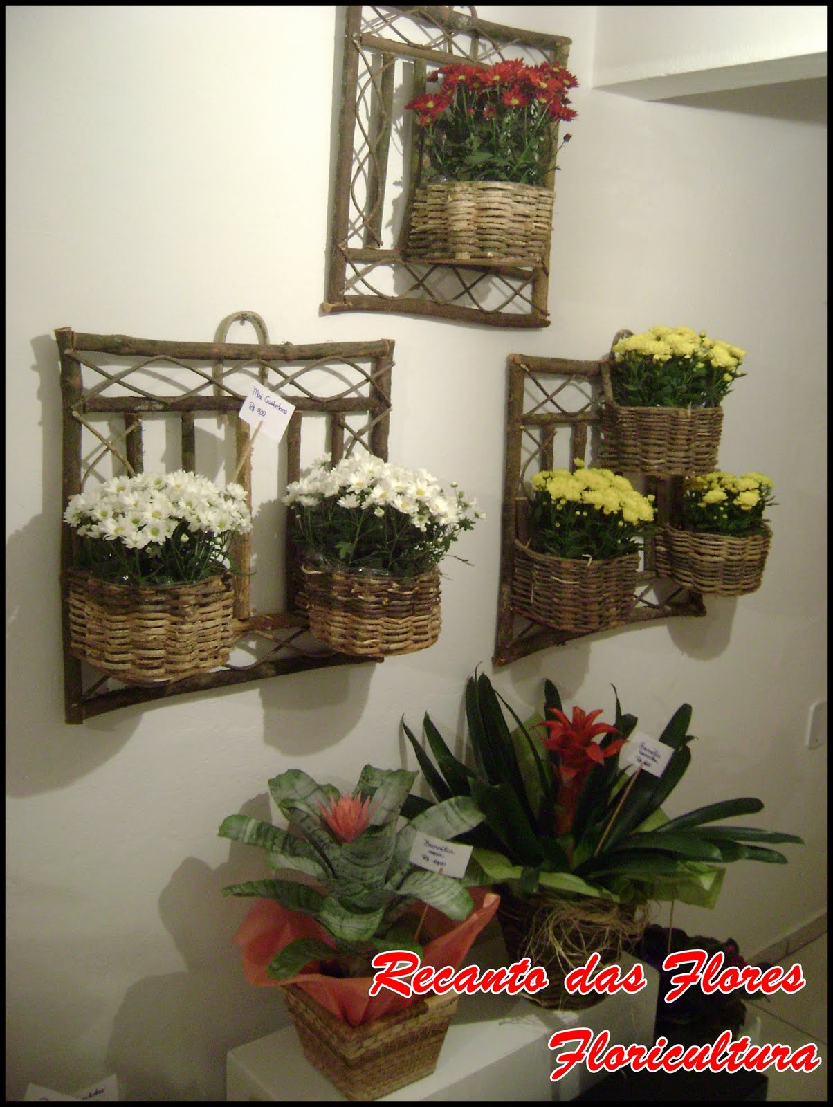 Floricultura Recanto das Flores